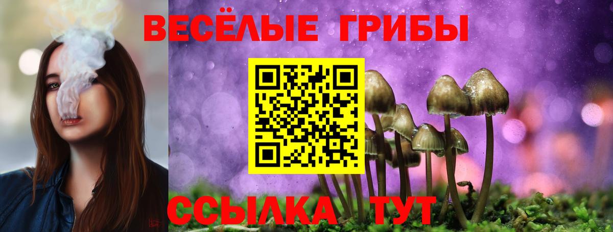 Псилоцибиновые грибы GOLDEN TEACHER  Вход с VPN  Полевской  Галлюциногенные грибы Cubensis 